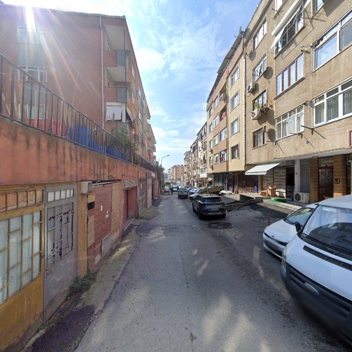 Fotoğraf 10