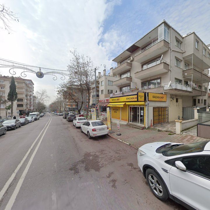 Fotoğraf 12