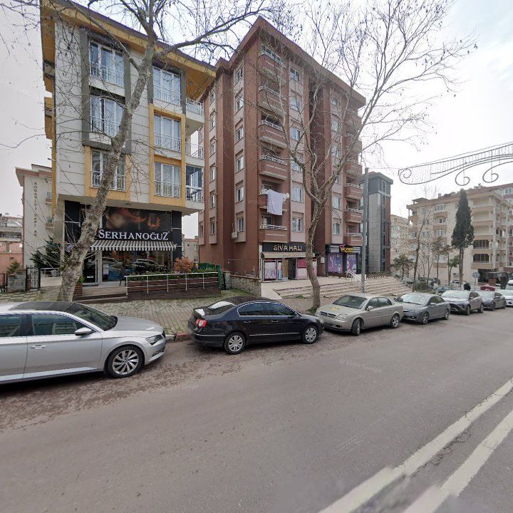 Fotoğraf 11