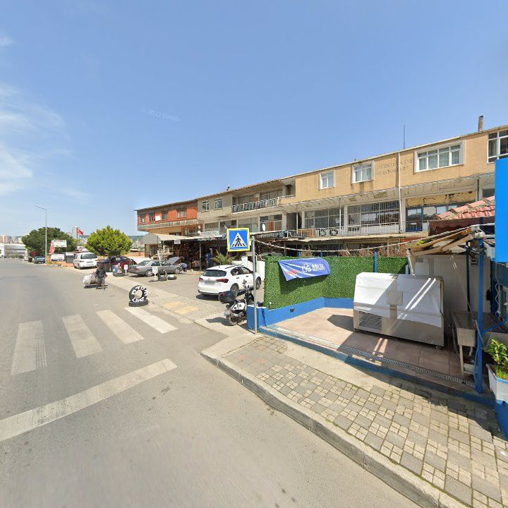 Fotoğraf 11