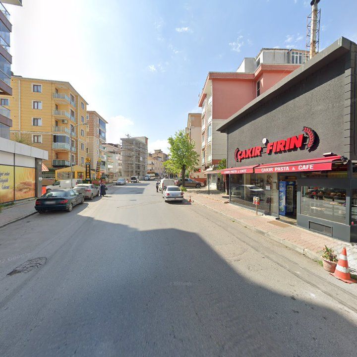 Fotoğraf 8