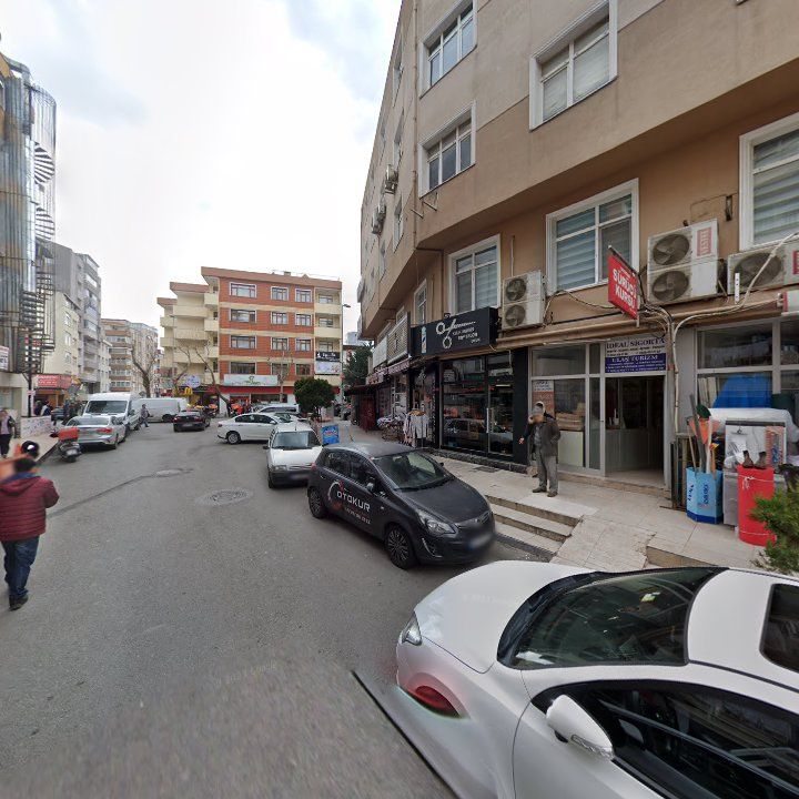 Fotoğraf 10