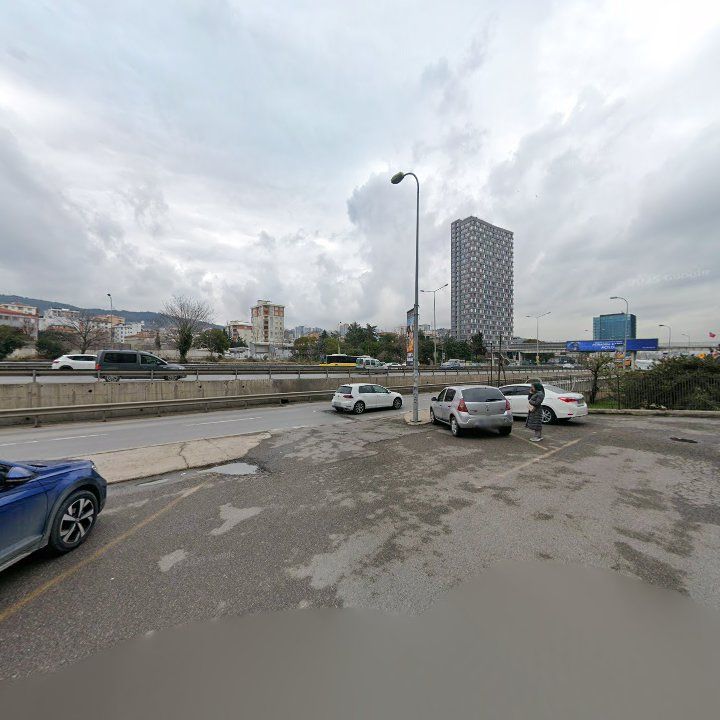 Fotoğraf 12