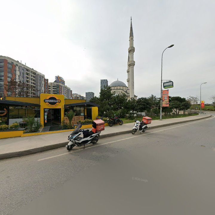 Fotoğraf 7