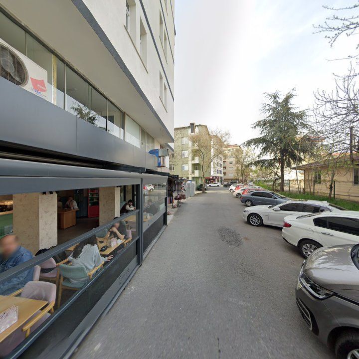 Fotoğraf 12