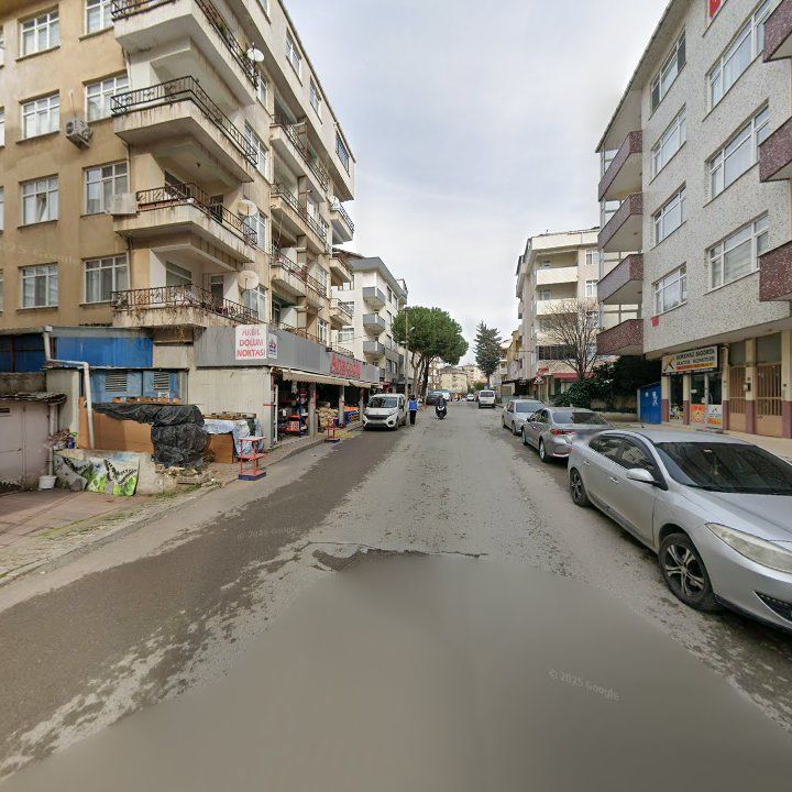 Fotoğraf 4