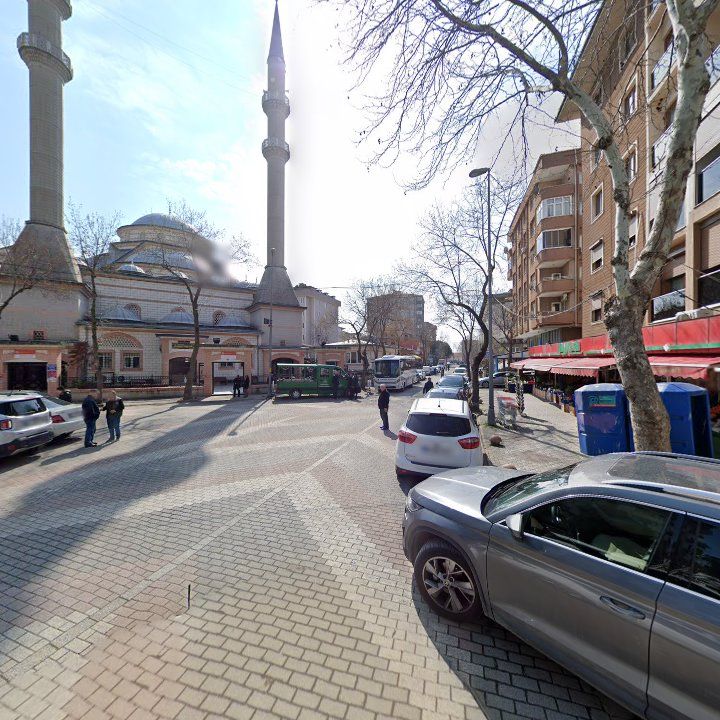 Fotoğraf 8