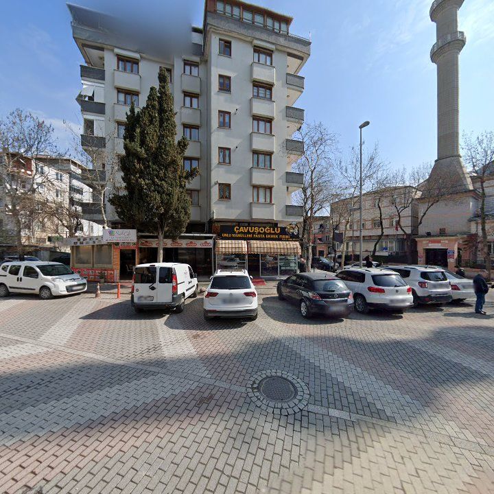 Fotoğraf 7