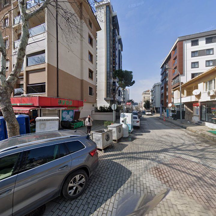 Fotoğraf 9