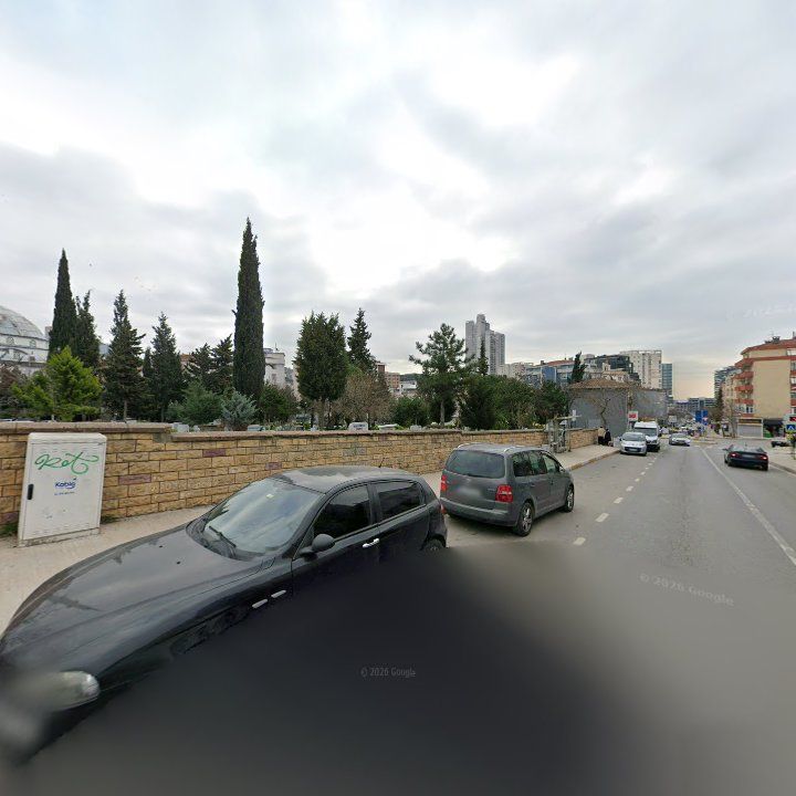 Fotoğraf 10