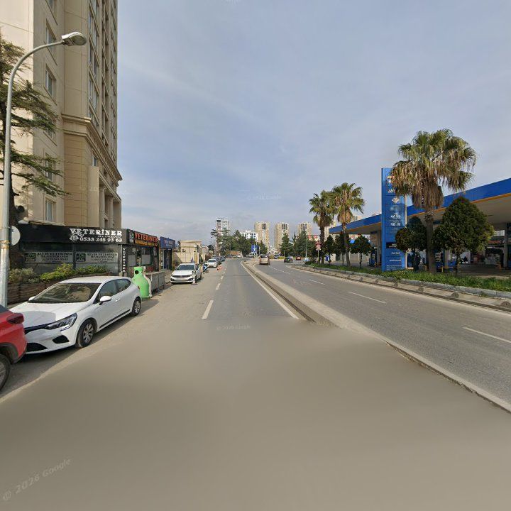 Fotoğraf 10
