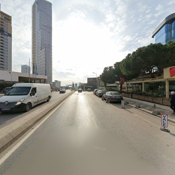 Fotoğraf 12