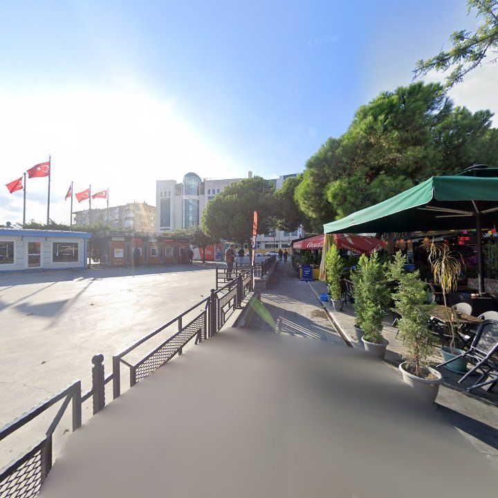 Fotoğraf 9