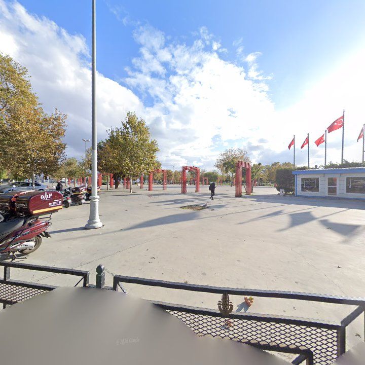 Fotoğraf 8