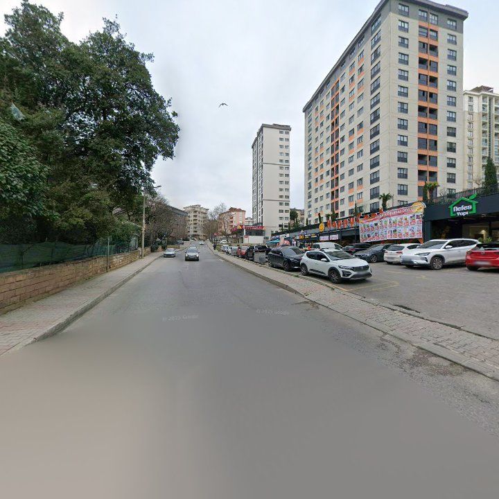 Fotoğraf 10