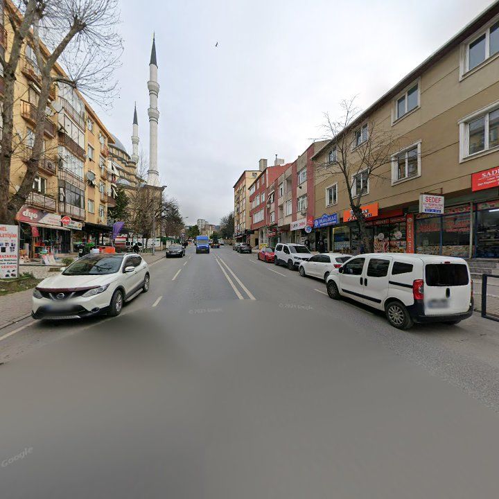 Fotoğraf 8