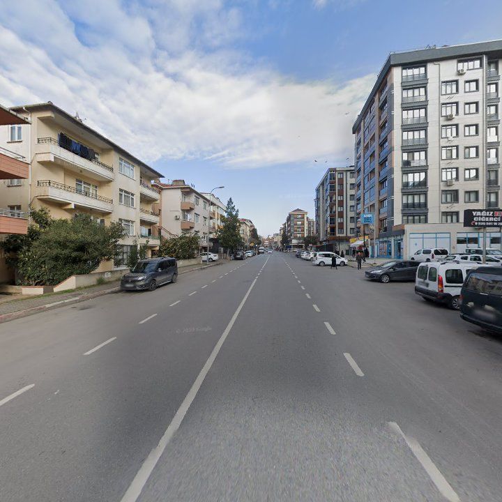 Fotoğraf 10
