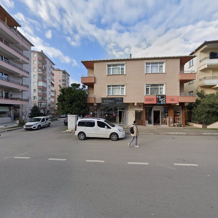 Fotoğraf 9