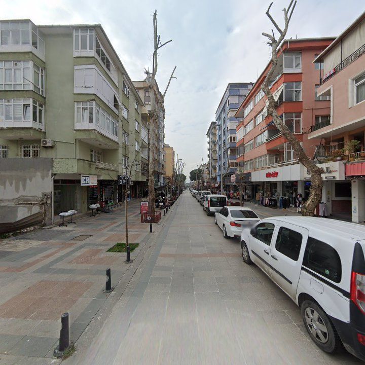 Fotoğraf 11