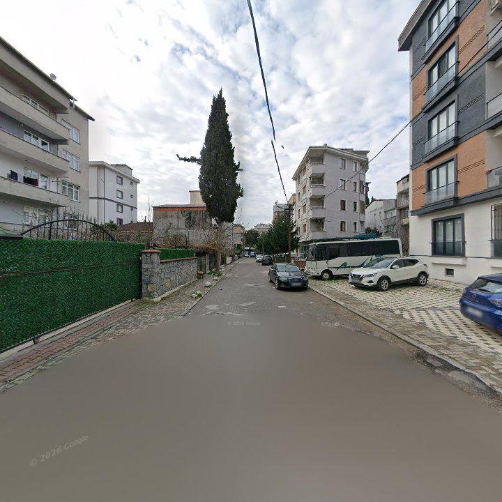 Fotoğraf 11