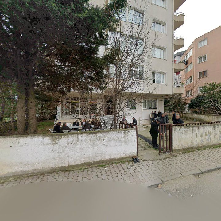 Fotoğraf 7