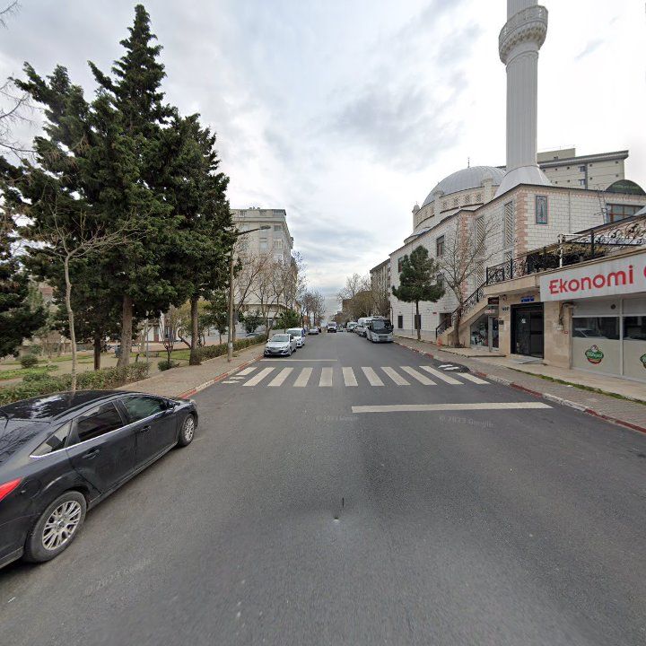Fotoğraf 7