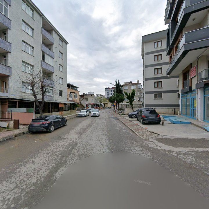 Fotoğraf 6