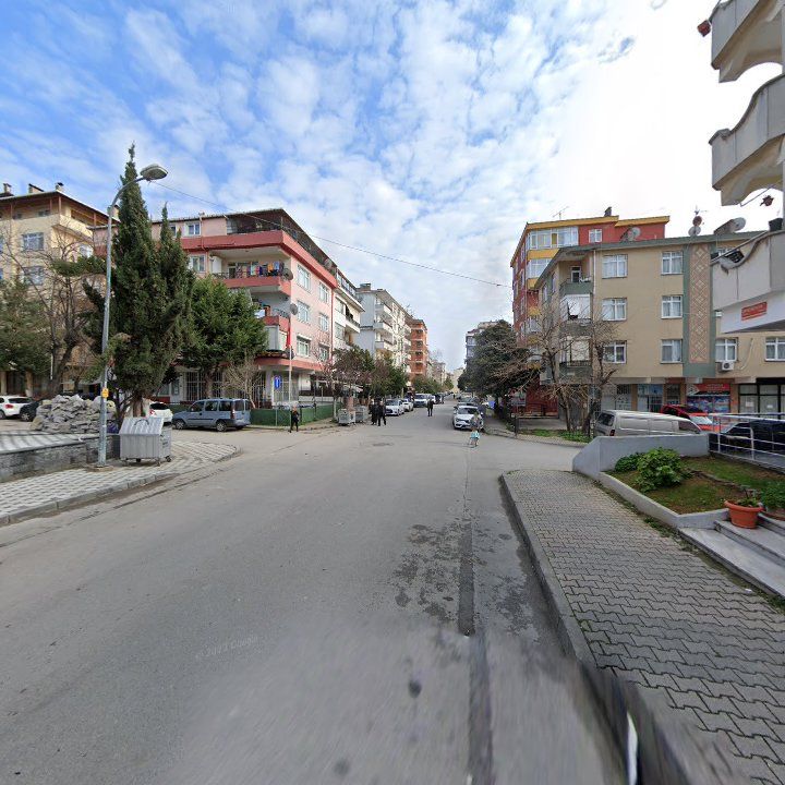 Fotoğraf 8