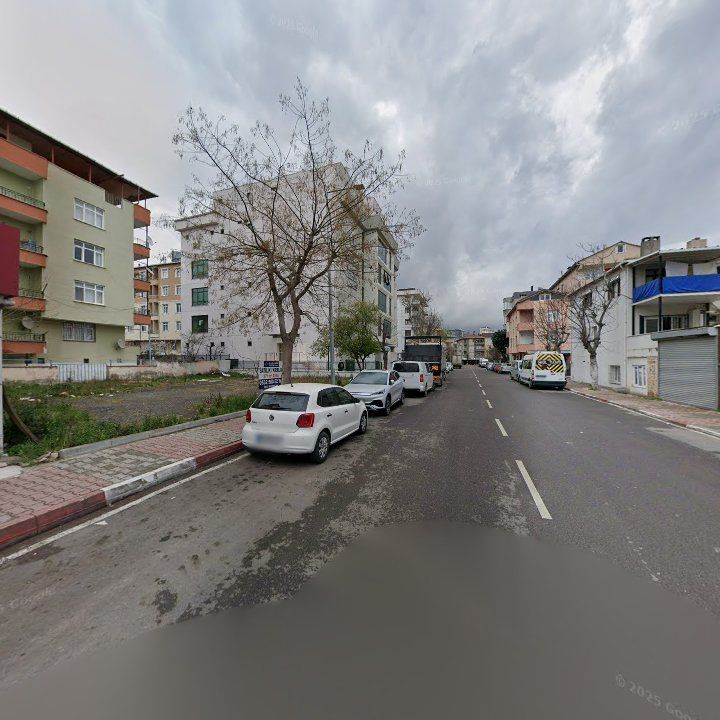 Fotoğraf 6