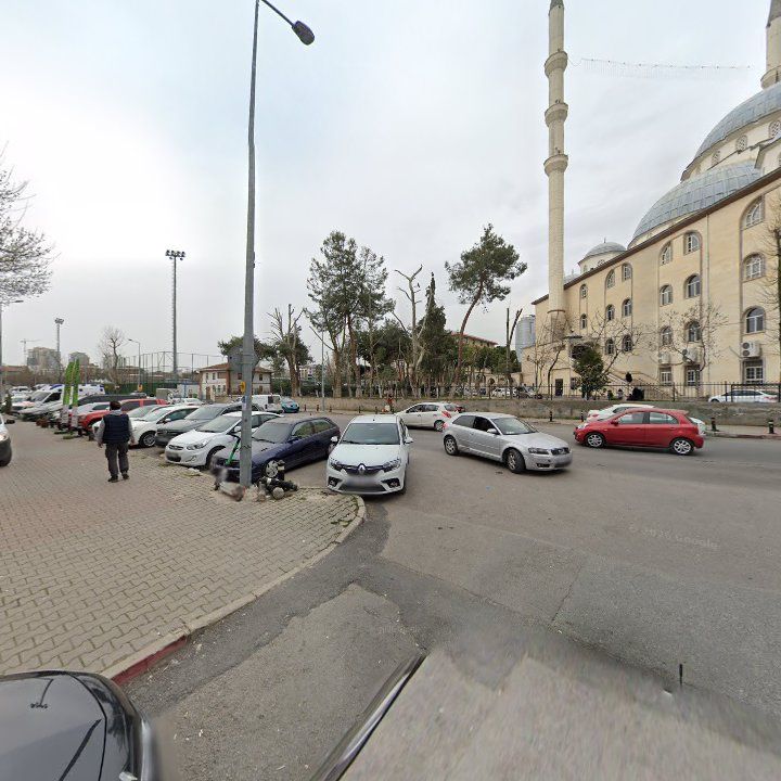Fotoğraf 8
