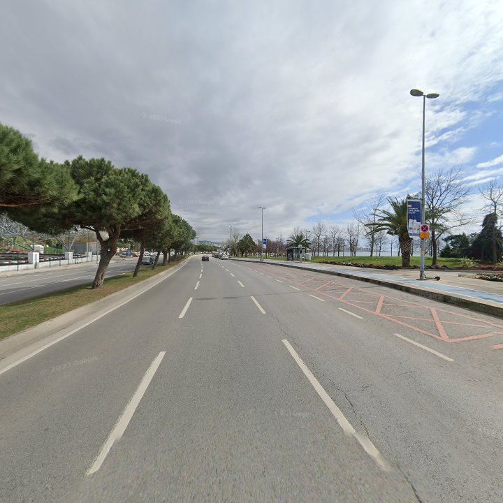 Fotoğraf 19