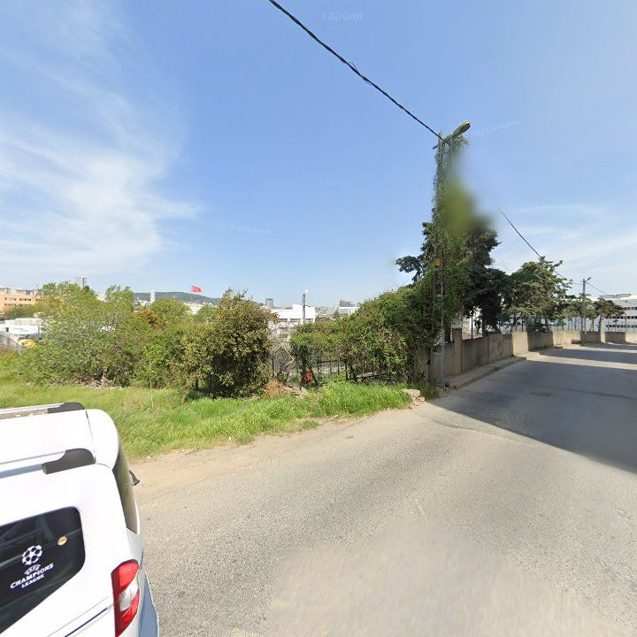 Fotoğraf 12