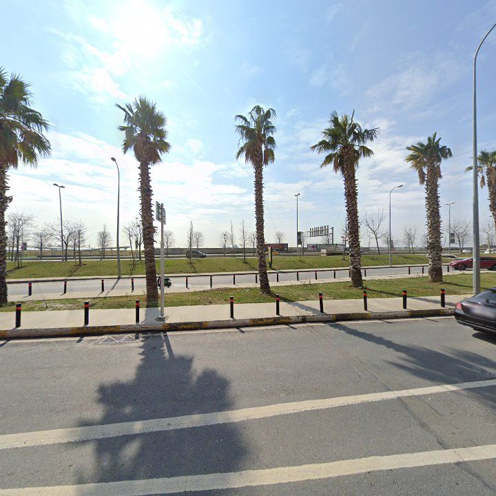 Fotoğraf 11