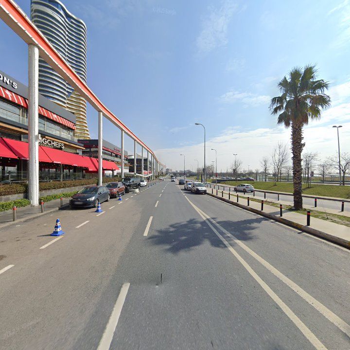 Fotoğraf 10
