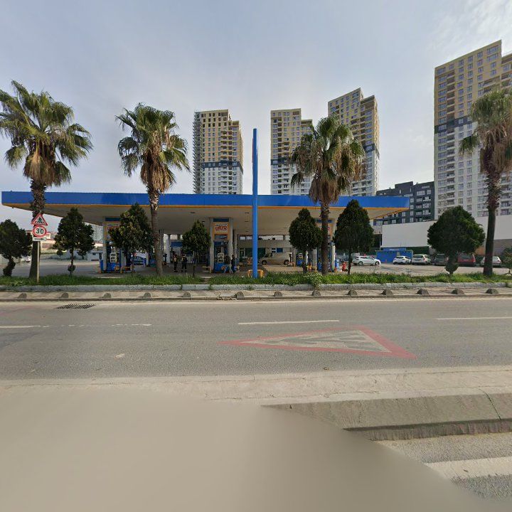 Fotoğraf 8