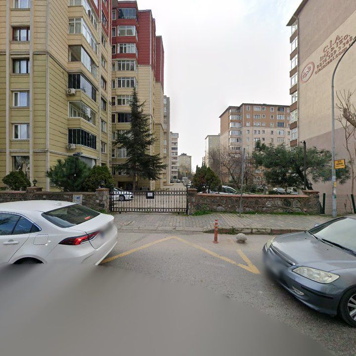 Fotoğraf 10