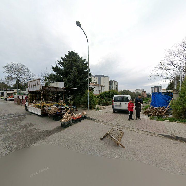 Fotoğraf 8