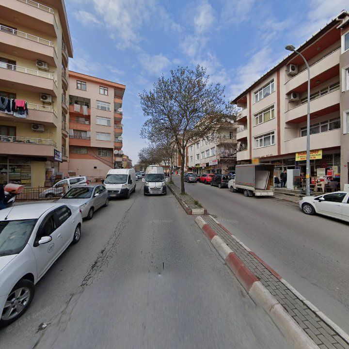 Fotoğraf 11