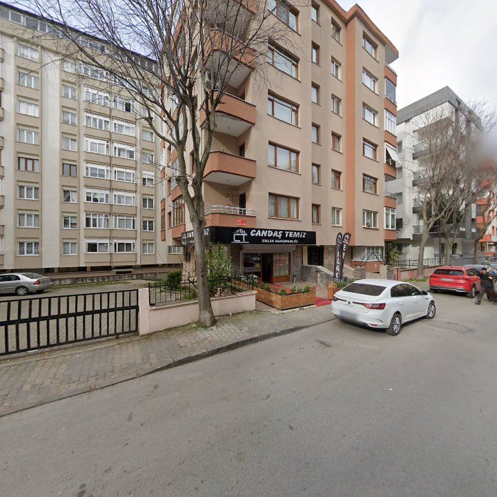 Fotoğraf 11