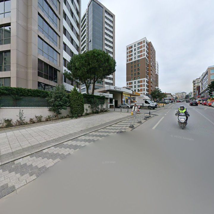 Fotoğraf 12