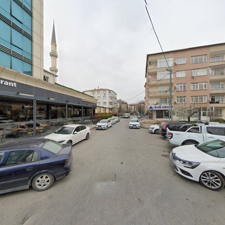 Fotoğraf 12