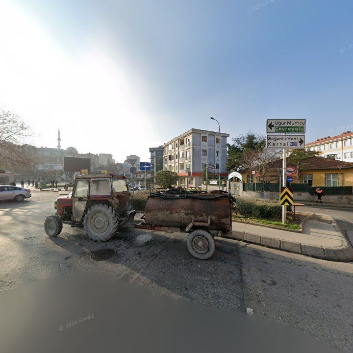 Fotoğraf 10
