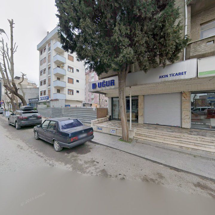 Fotoğraf 6