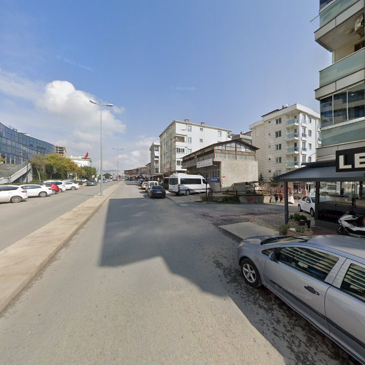 Fotoğraf 10