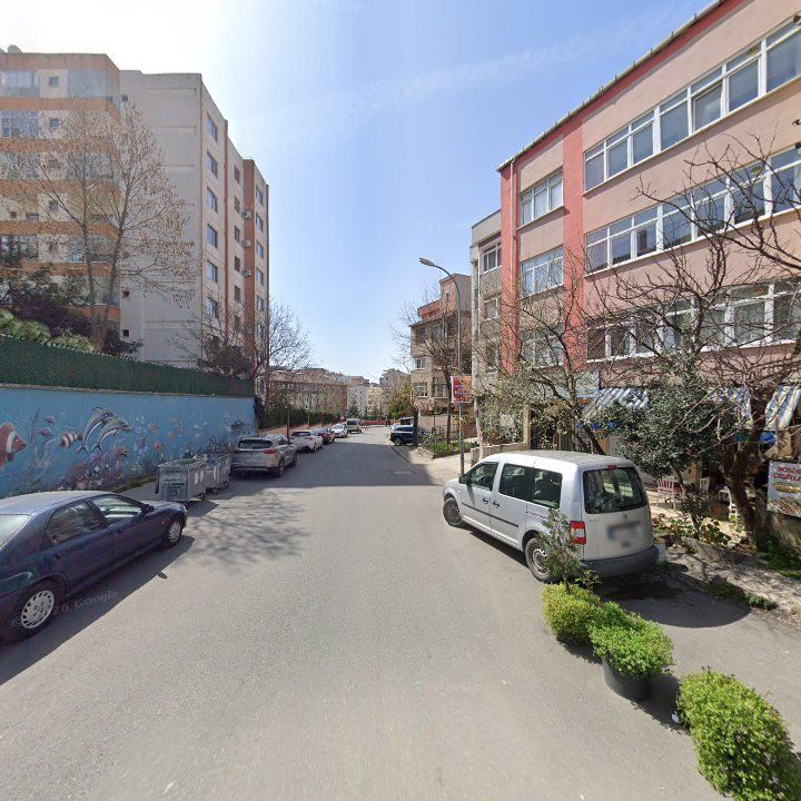 Fotoğraf 9