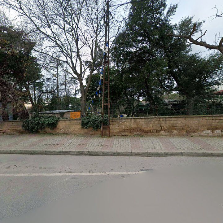 Fotoğraf 10