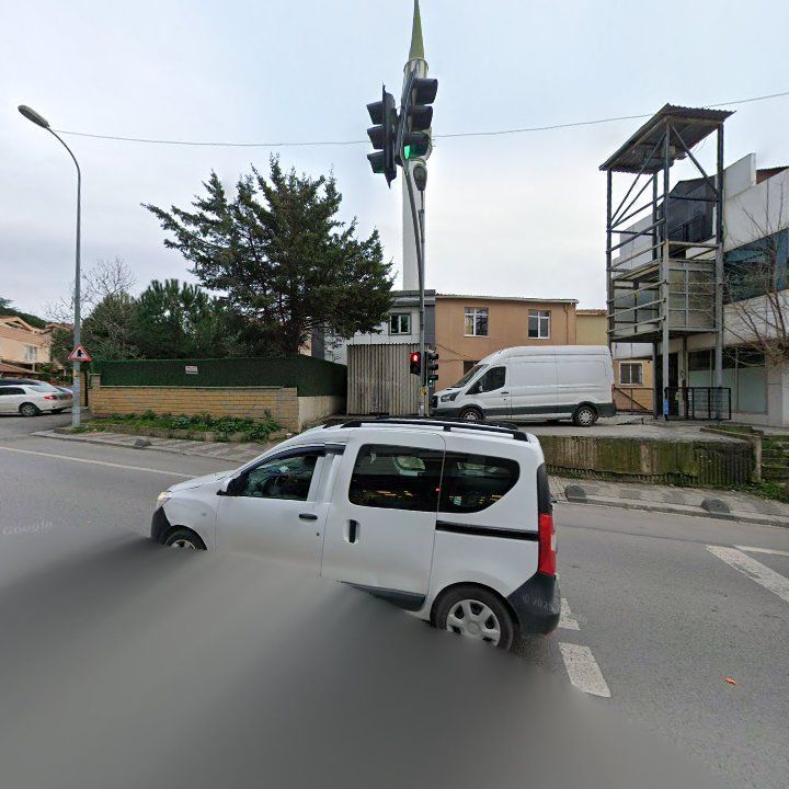Fotoğraf 8