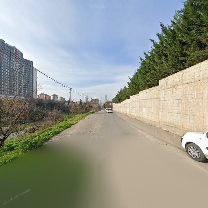 Fotoğraf 11