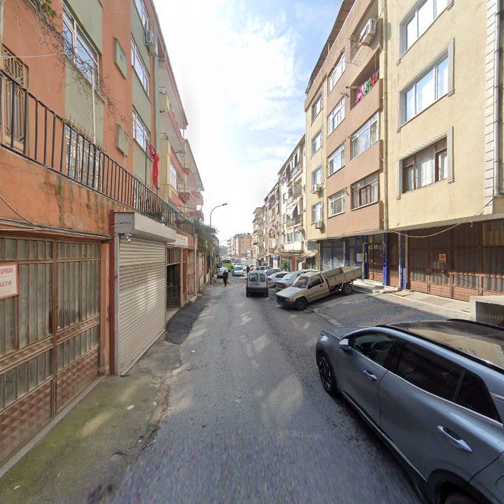 Fotoğraf 12