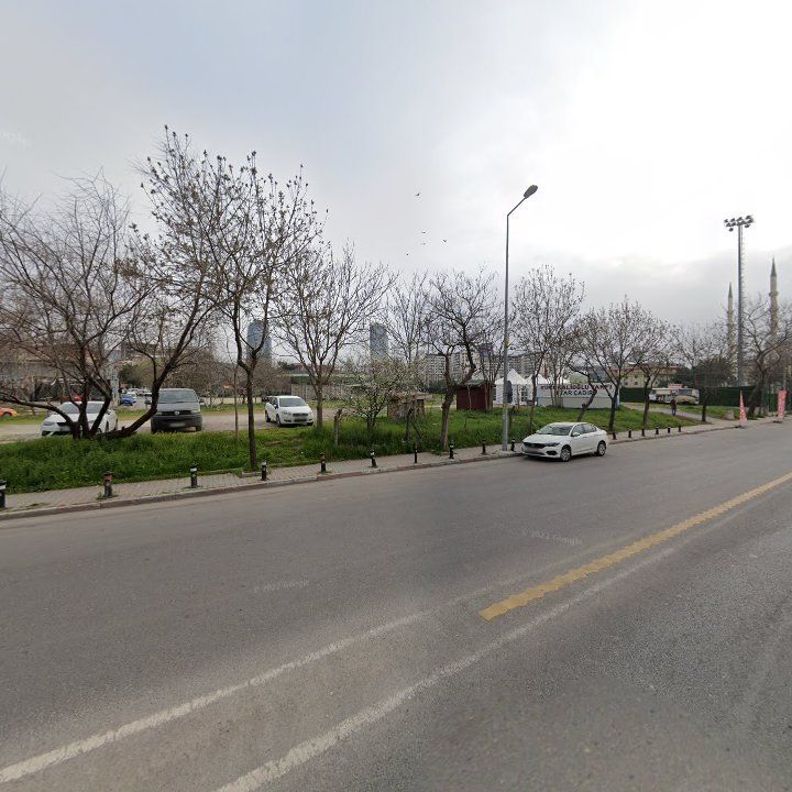 Fotoğraf 8